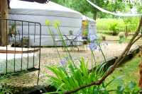 41---yourtes-de-gasgonne-habillage-site-web.png