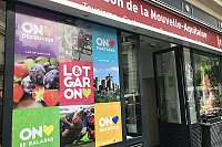 6---IMG_1272.jpg