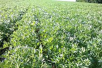 WP_20170508_005.jpg