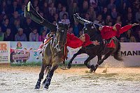 cheval-photo.jpg
