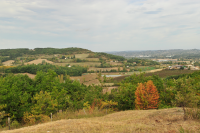 fond-page-11---ENS-castelmerle-_XCG0267.png