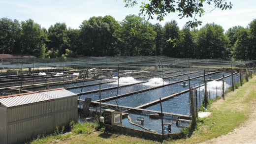 05---La_Ferme_du_Ciron_2018a.png