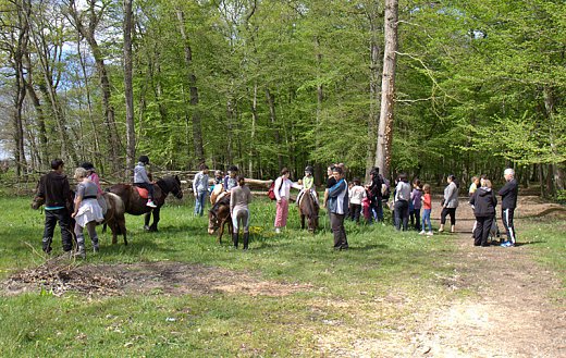 6-04-14---multiactivits-Rog---Villeneuve-sur-lot_-14.jpg
