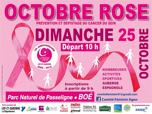 Comit-Fminin-Affiche-4x3-10-08.jpg