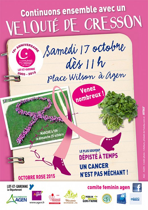 Octobre-rose-Affiche-A3-Cresson-2015-preuve-du-16-07-2015.jpg