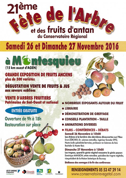 fete_arbre.jpg