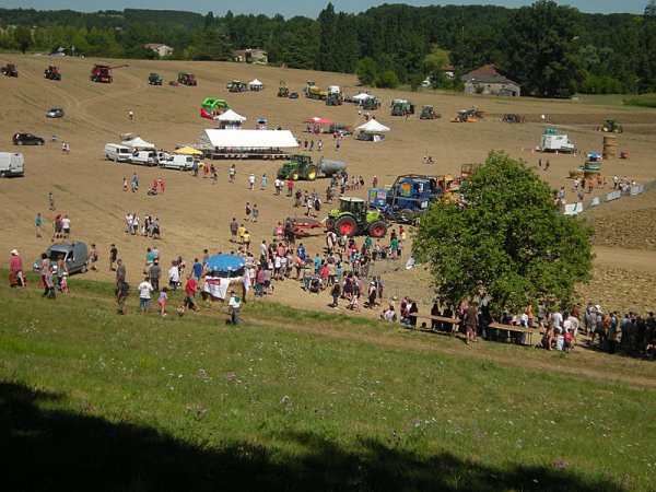 DSCN4710.jpg